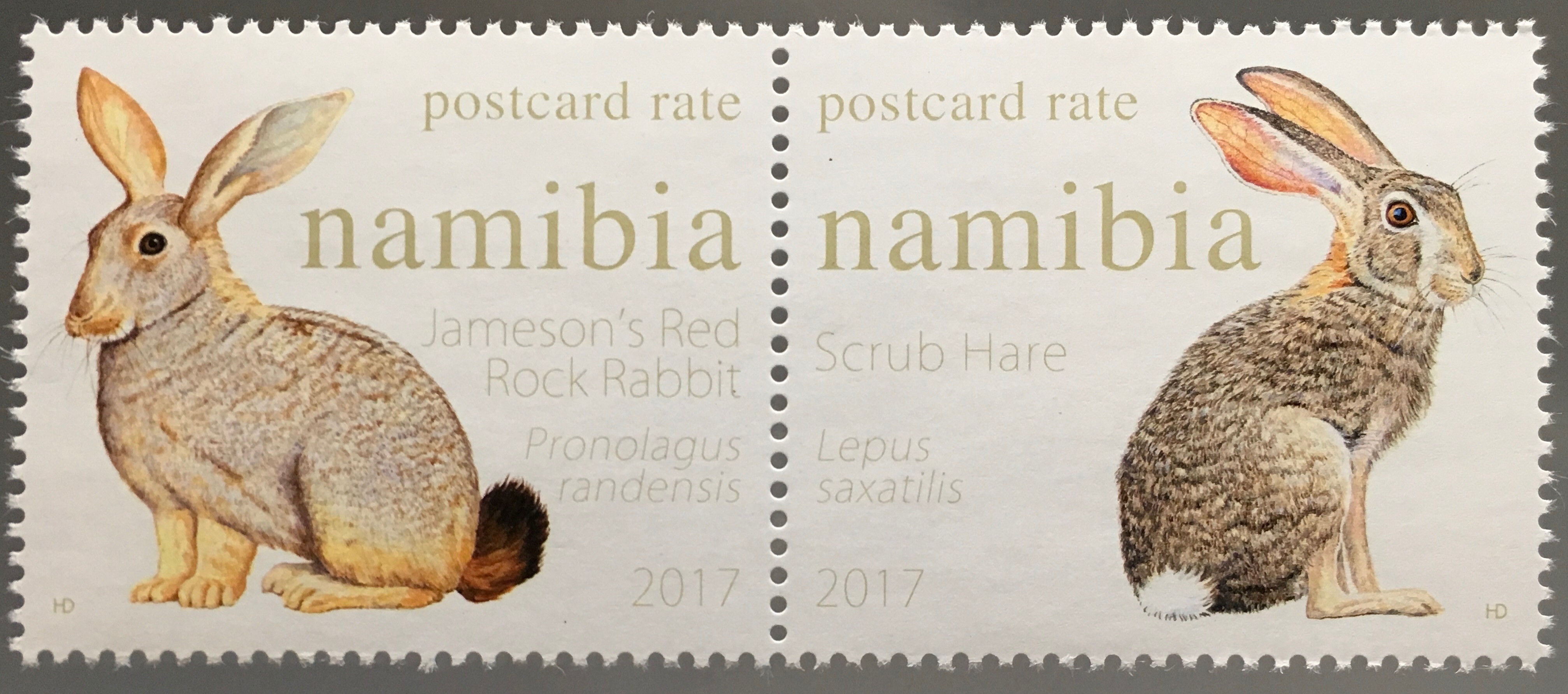 Namibia 2017 Nr. 1561-62 Kaninchen Hasen Fauna Rabbits Rock Rabbit ...
