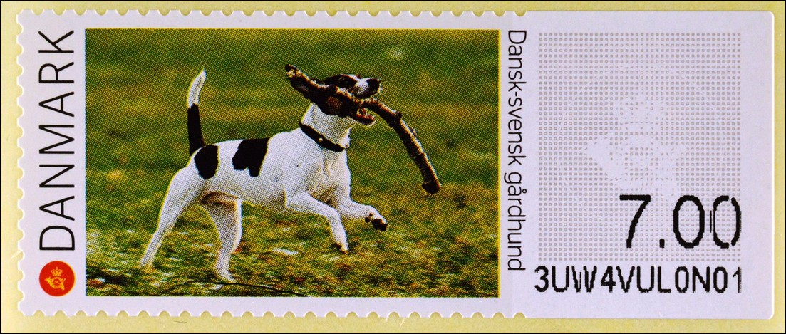 Dänemark Denmark 2015 ATM Nr. 7880 Hunde Dänischschwedischer Hütehund